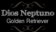 Dios Neptuno Golden Retriever